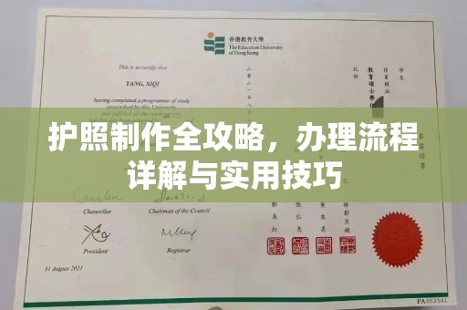 阳明护照制作全攻略，办理流程详解与实用技巧