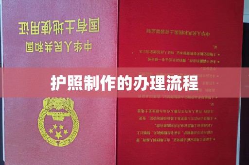 阳明护照制作的办理流程