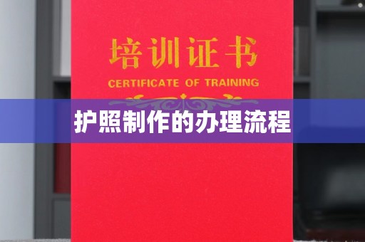 阳明护照制作的办理流程