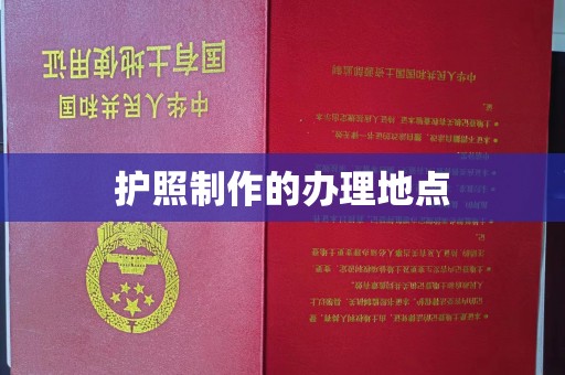 阳明护照制作的办理地点