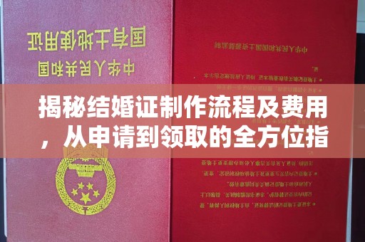 阳明揭秘结婚证制作流程及费用，从申请到领取的全方位指南