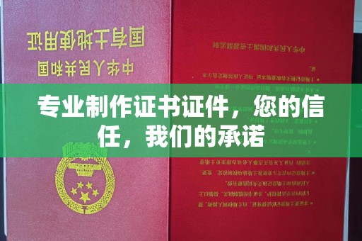 阳明专业制作证书证件，您的信任，我们的承诺