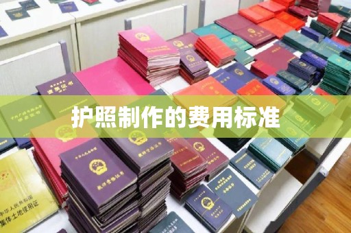 阳明护照制作的费用标准