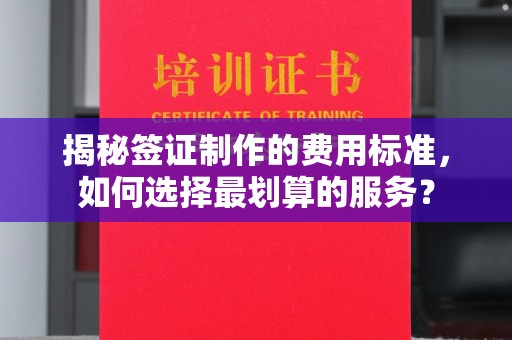 阳明揭秘签证制作的费用标准，如何选择最划算的服务？