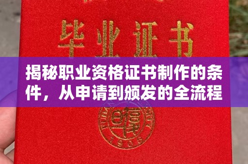 阳明揭秘职业资格证书制作的条件，从申请到颁发的全流程解析