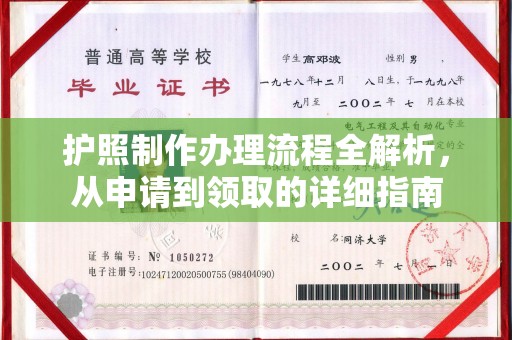 阳明护照制作办理流程全解析，从申请到领取的详细指南